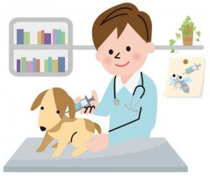 フィラリア予防薬とワクチン